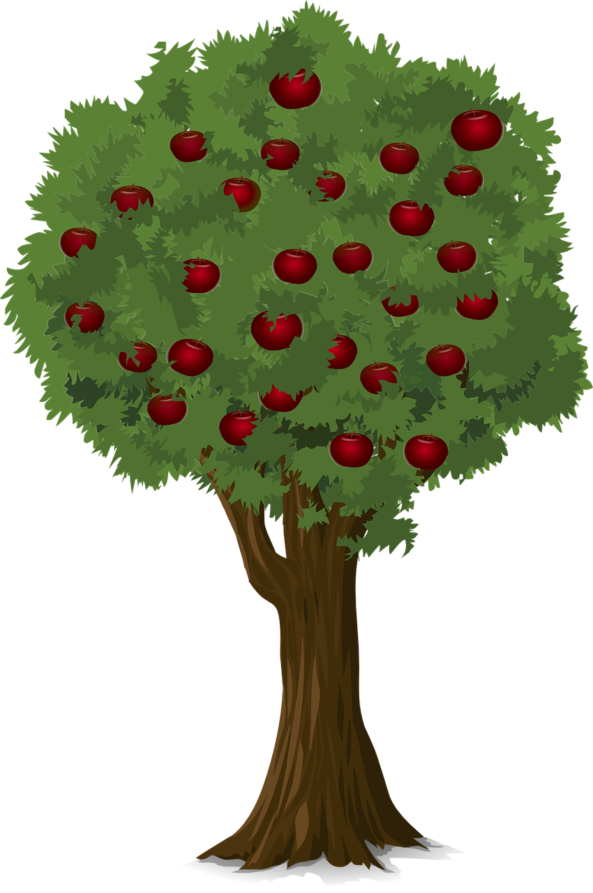 Kuvassa vihreä omenapuu, jossa paljon punaisia omenoita
